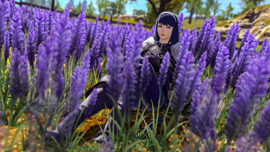 Waiting for you in a field of flowers